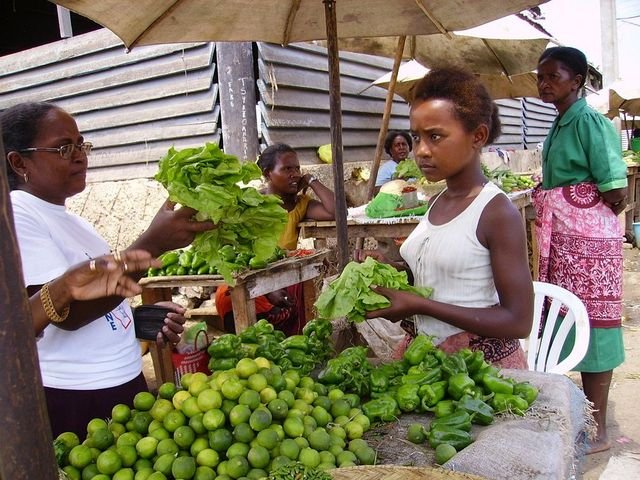Étal de légumes verts sur un marché