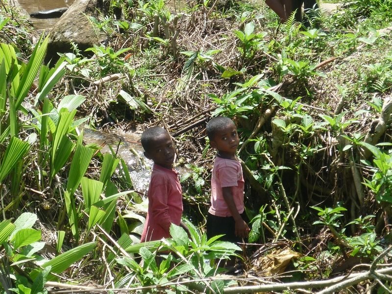 Deux enfants dans la végétation, au bord d'un chemin